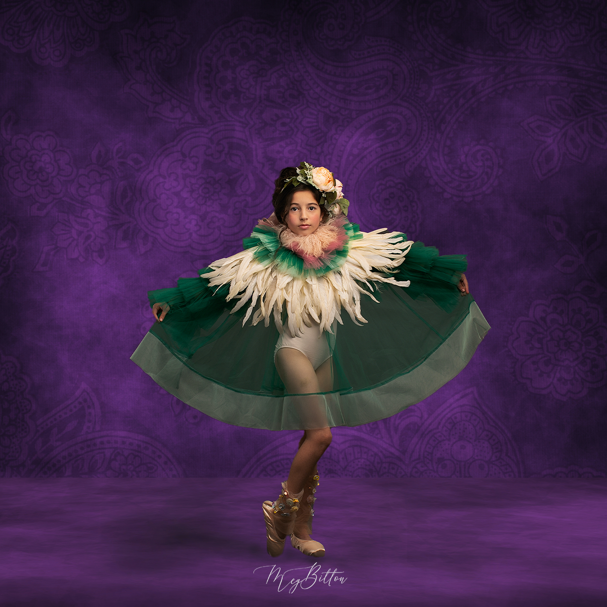 Digital Studio Backdrop: Prosperity Purple - Meg Bitton Productions