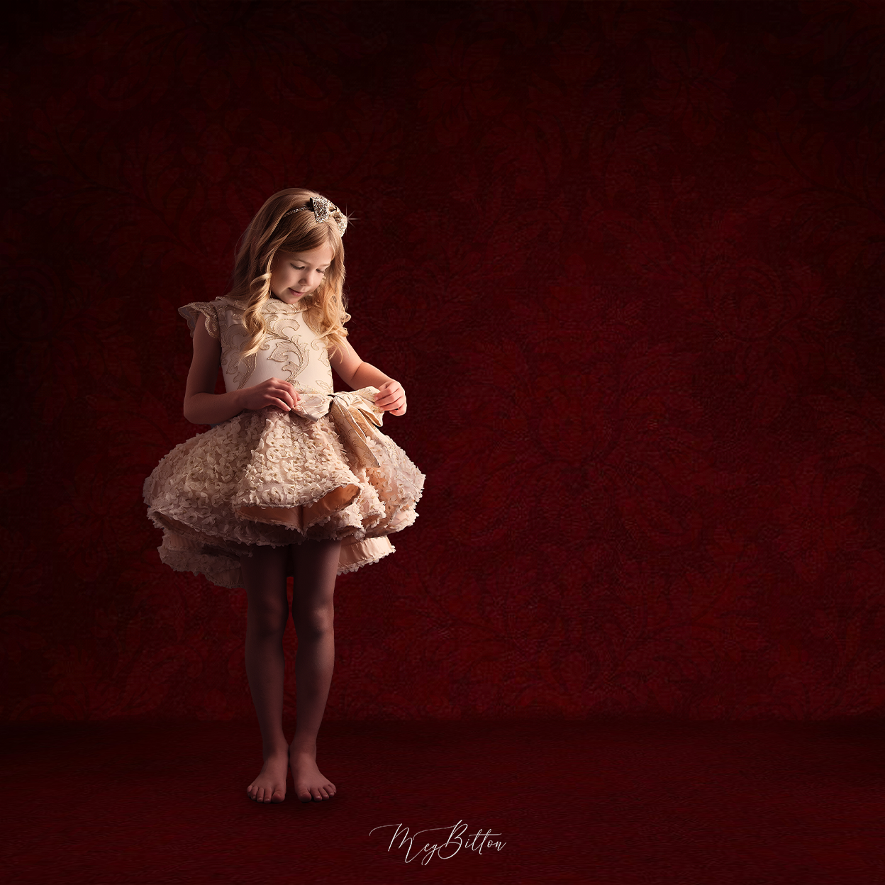 Digital Studio Backdrop: Regal Red - Meg Bitton Productions