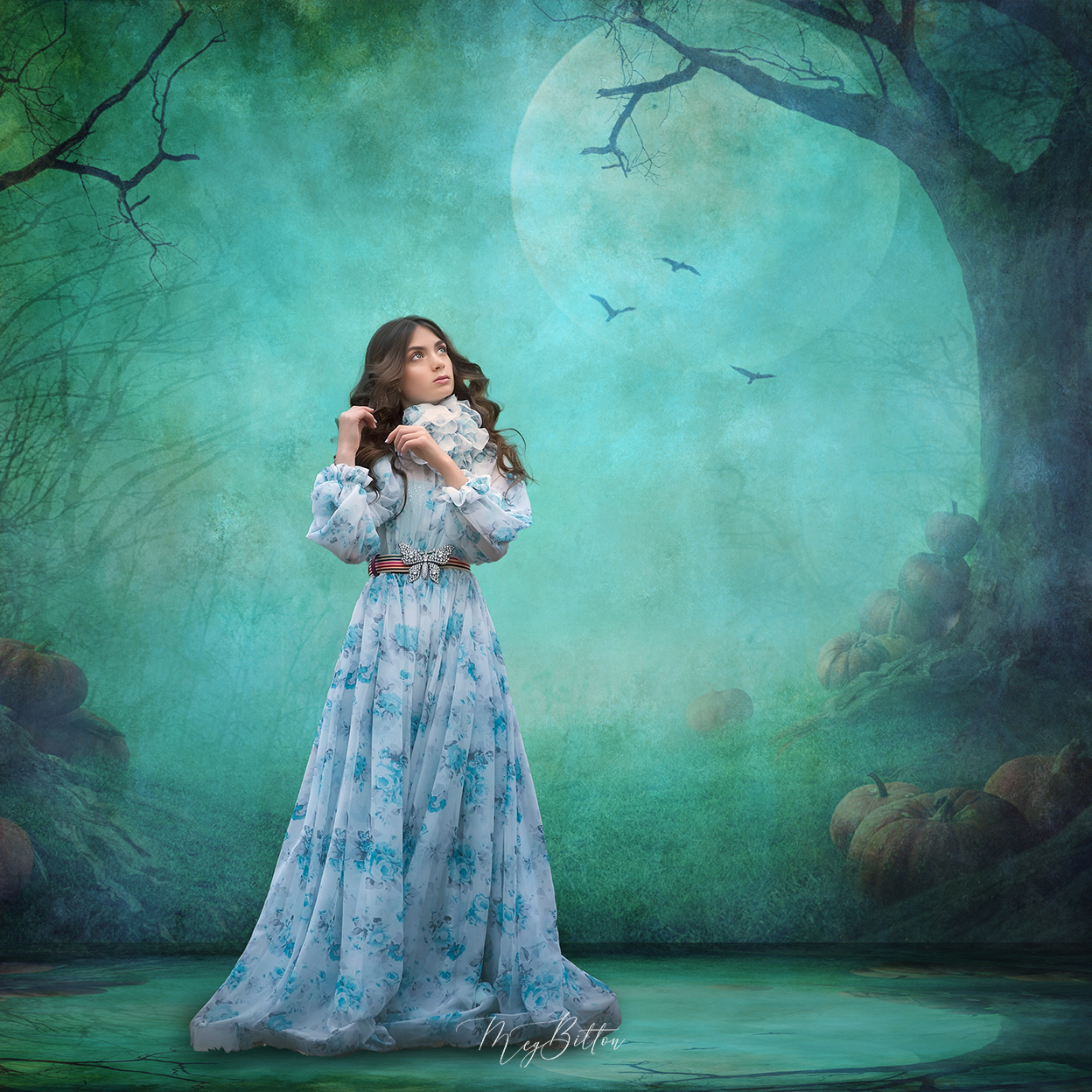 Digital Studio Backdrop: Sleepy Hallows - Meg Bitton Productions