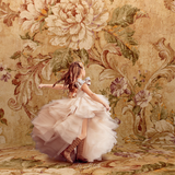 Digital Studio Backdrop: Stunning Sand - Meg Bitton Productions