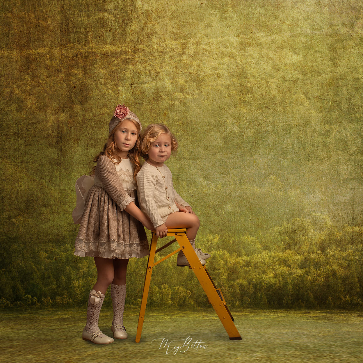 Digital Studio Backdrop: Tree Lined - Meg Bitton Productions