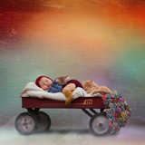 Digital Studio Backdrop: Warm Embrace - Meg Bitton Productions