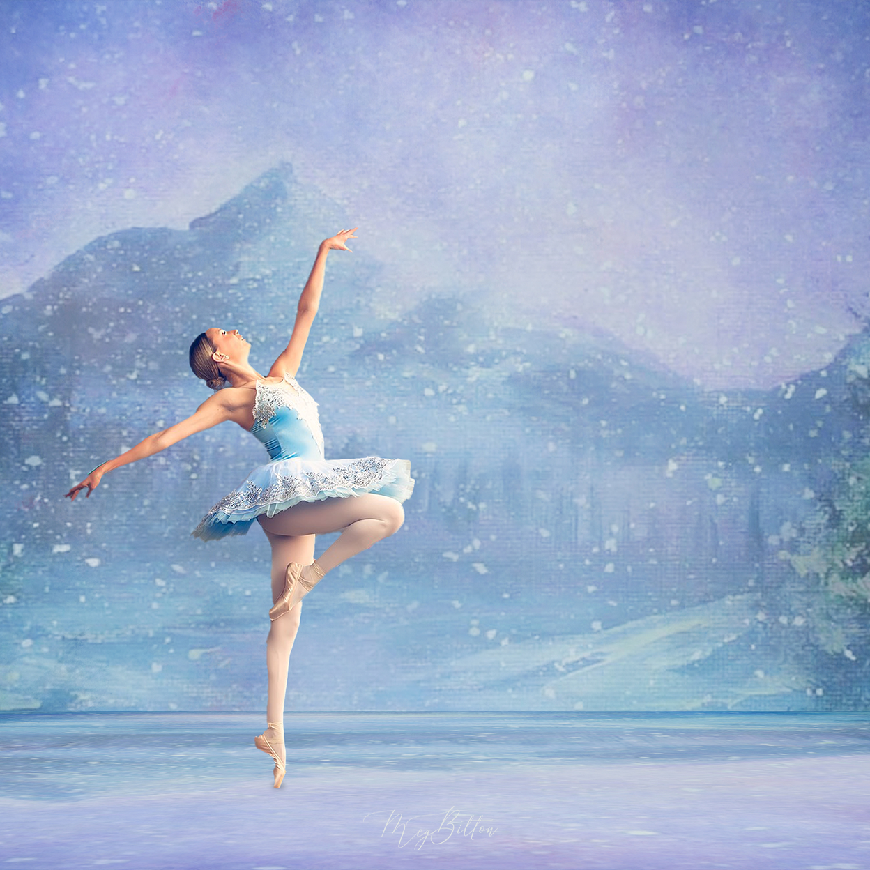 Digital Studio Backdrop: Winter Dream - Meg Bitton Productions