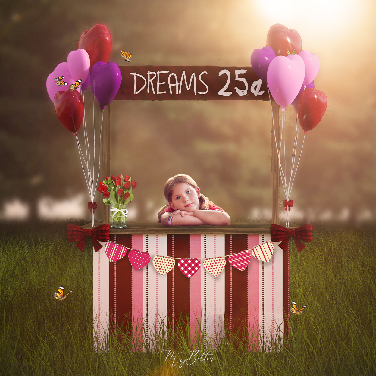 Digital Background: Dreams Booth - Meg Bitton Productions