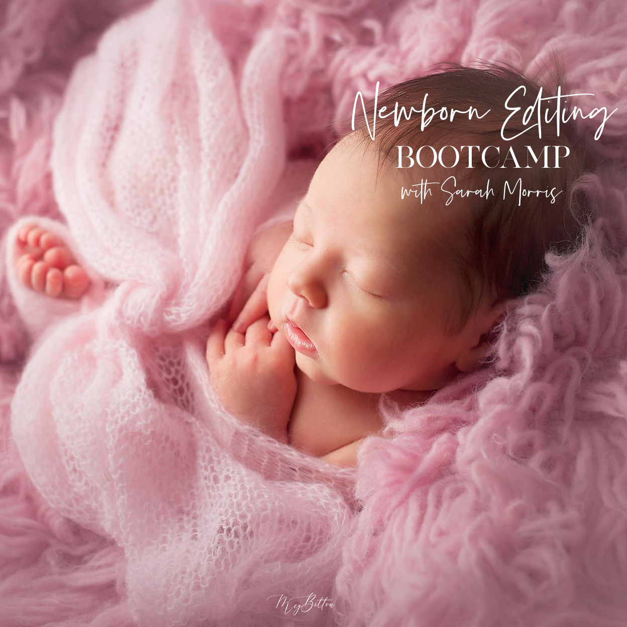 Newborn Editing Bootcamp - October 2019 - Meg Bitton Productions