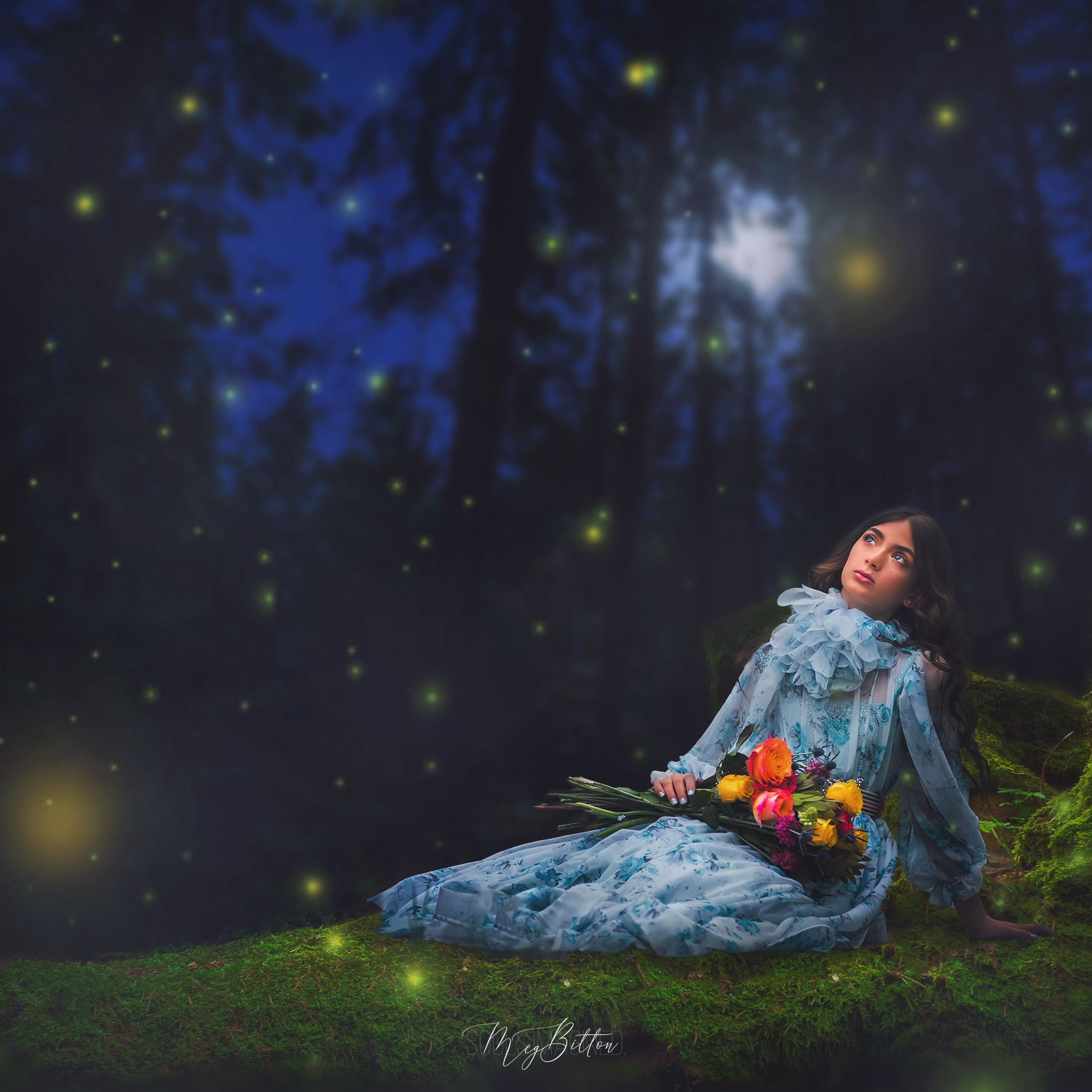 Magical Bundle of Night Digital Products - Meg Bitton Productions