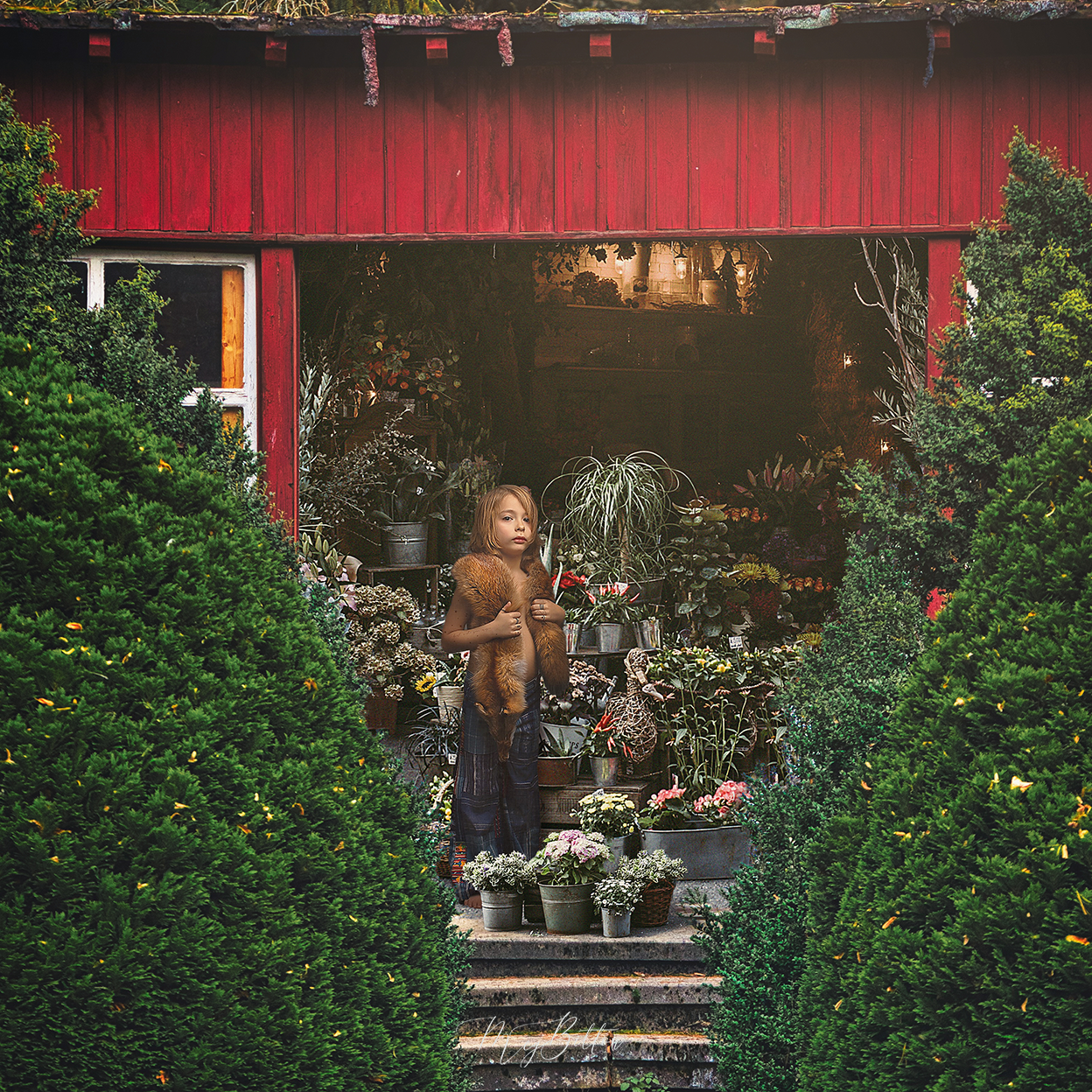 The Red Shed Layered Digital Background - Meg Bitton Productions