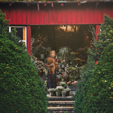 The Red Shed Layered Digital Background - Meg Bitton Productions