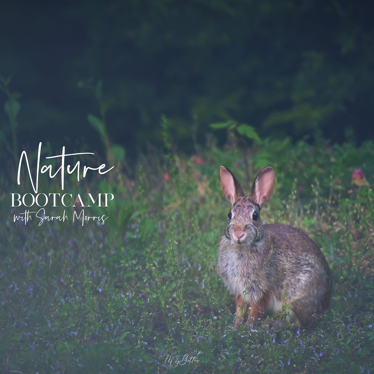 Nature Bootcamp - July 2019 - Meg Bitton Productions