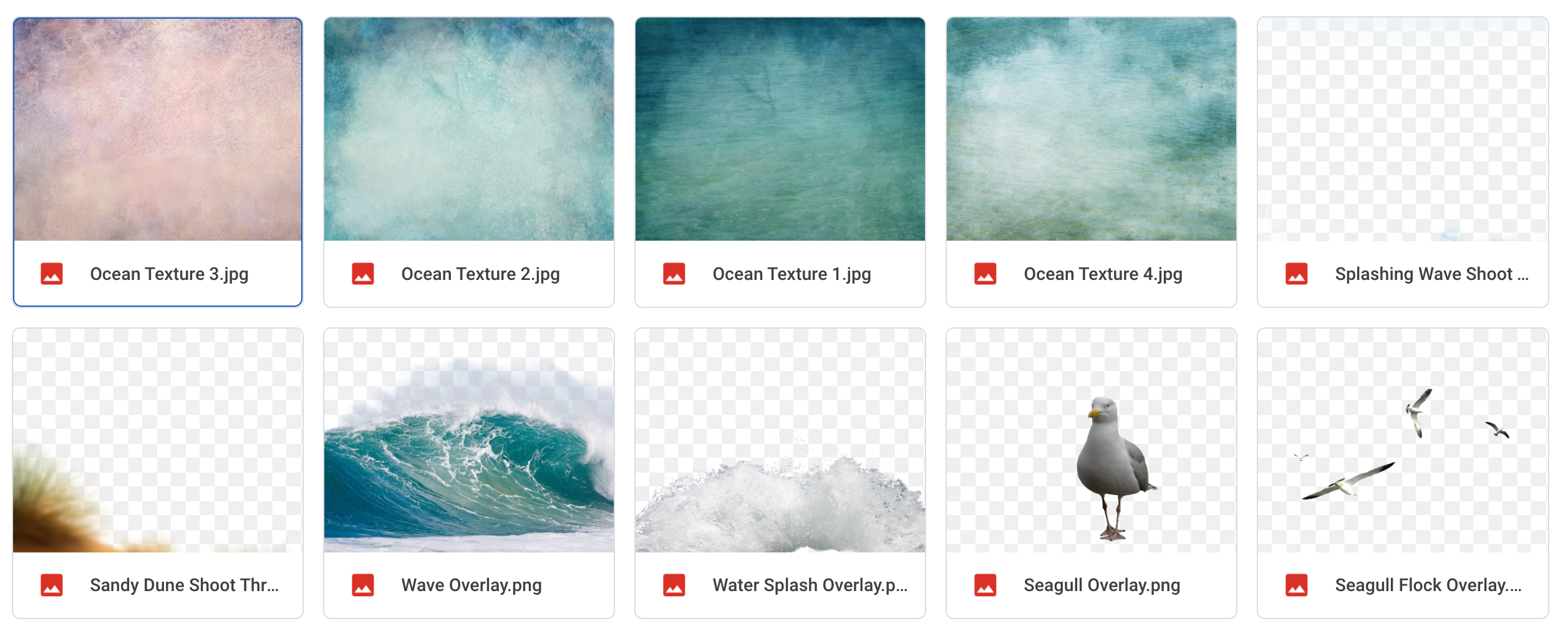 The Ocean Bundle - Meg Bitton Productions