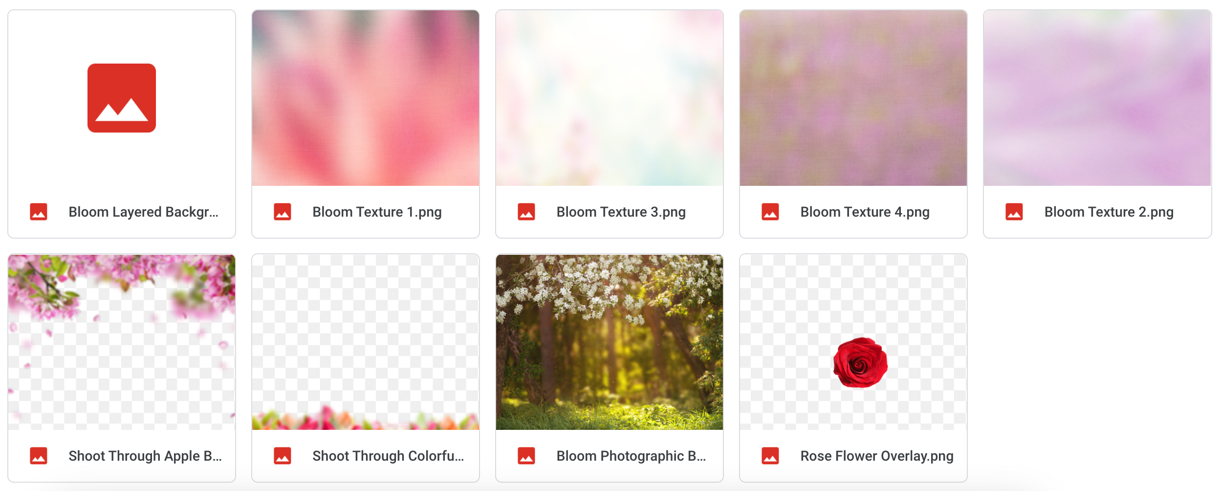 The Bloom Bundle - Meg Bitton Productions