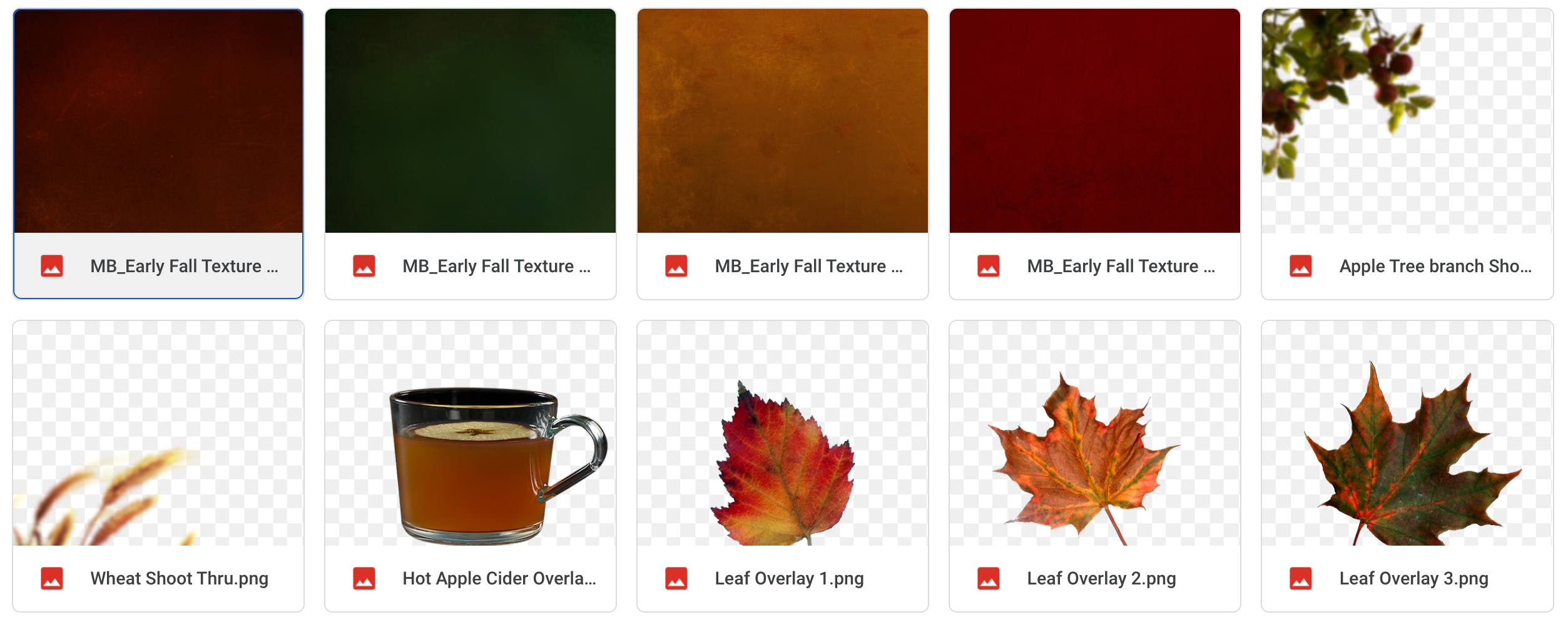 The Early Fall Bundle - Meg Bitton Productions