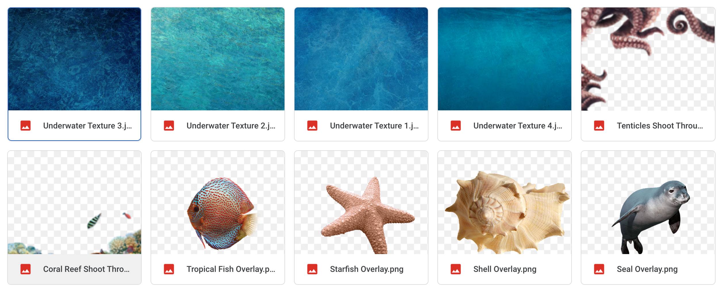 The Underwater Bundle - Meg Bitton Productions