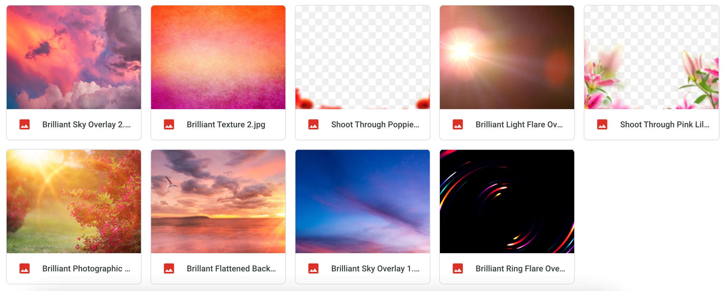 The Brilliant Bundle - Meg Bitton Productions