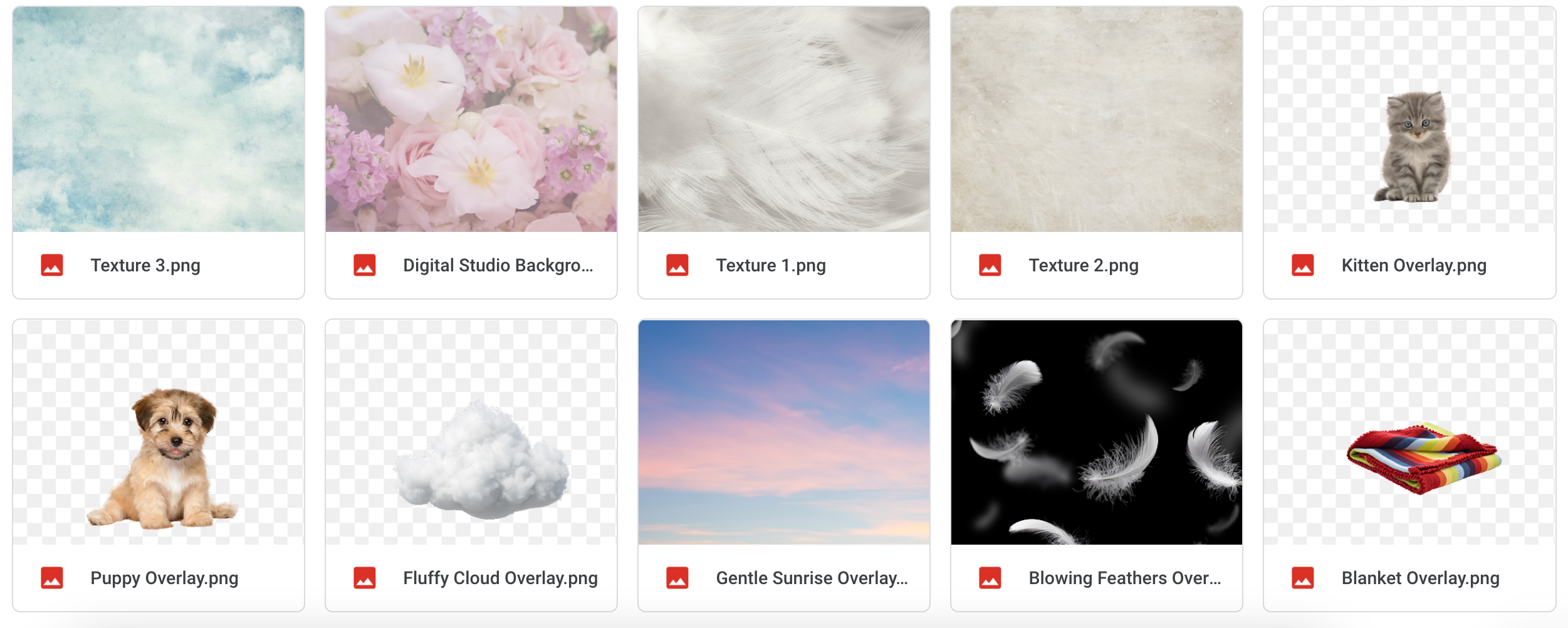 The Gentle Bundle - Meg Bitton Productions