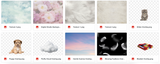 The Gentle Bundle - Meg Bitton Productions