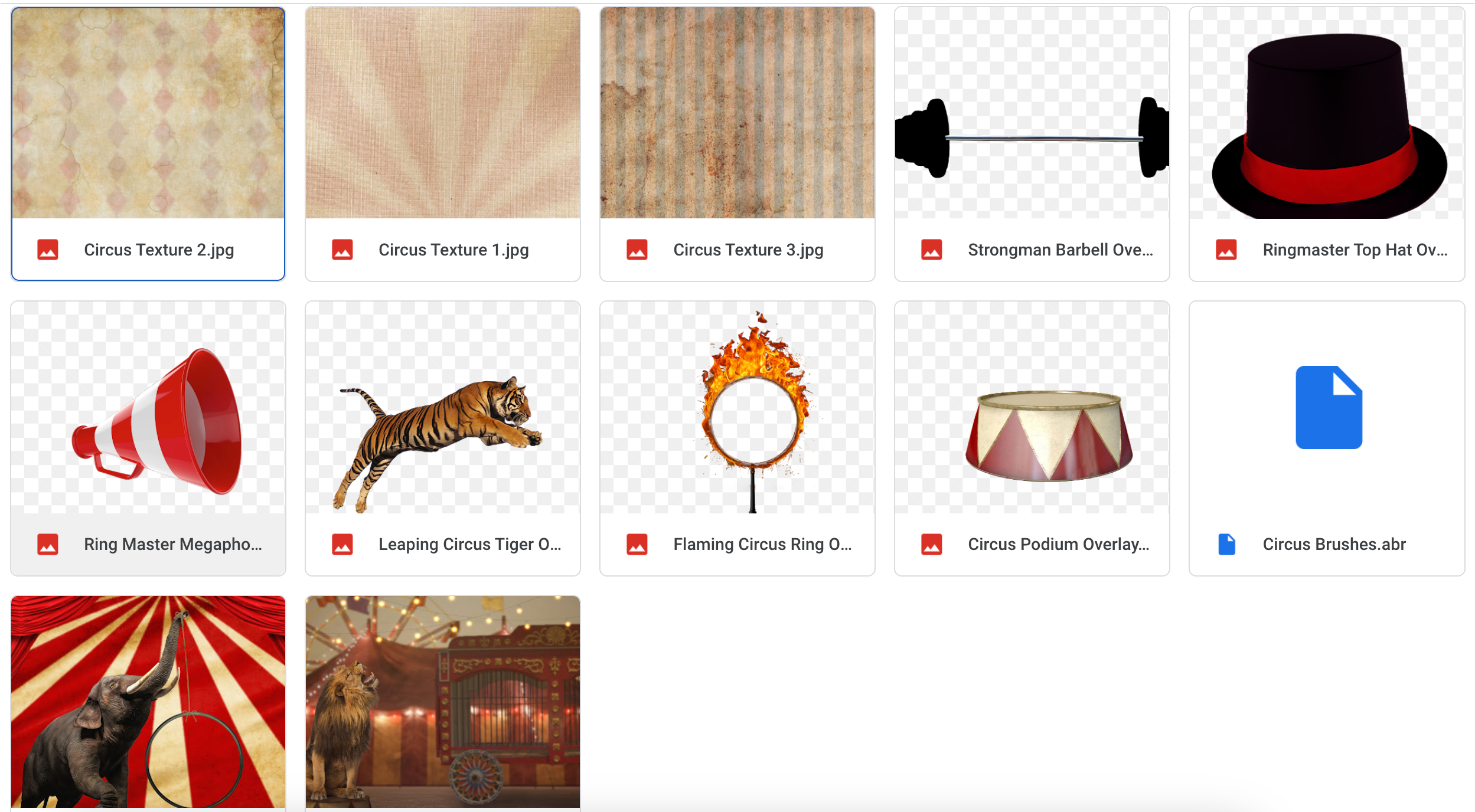 The Circus Kit - Meg Bitton Productions