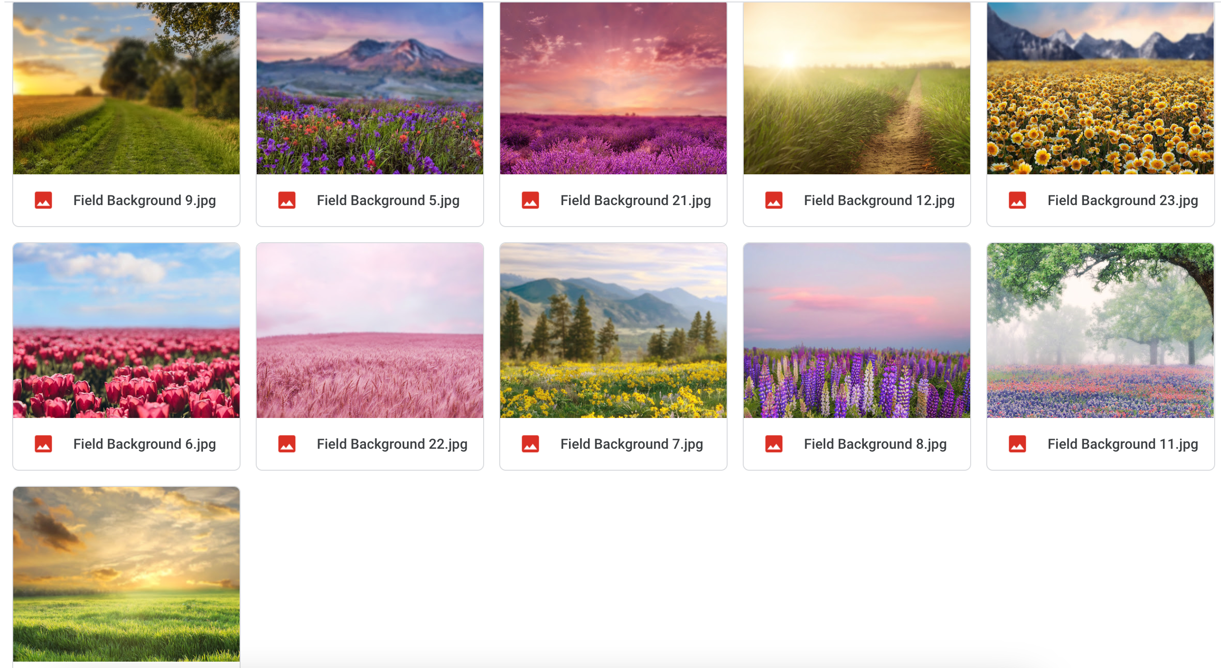 Magical Bundle of Field Backgrounds - Meg Bitton Productions
