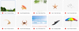Magical Bundle of Beach Digital Products - Meg Bitton Productions