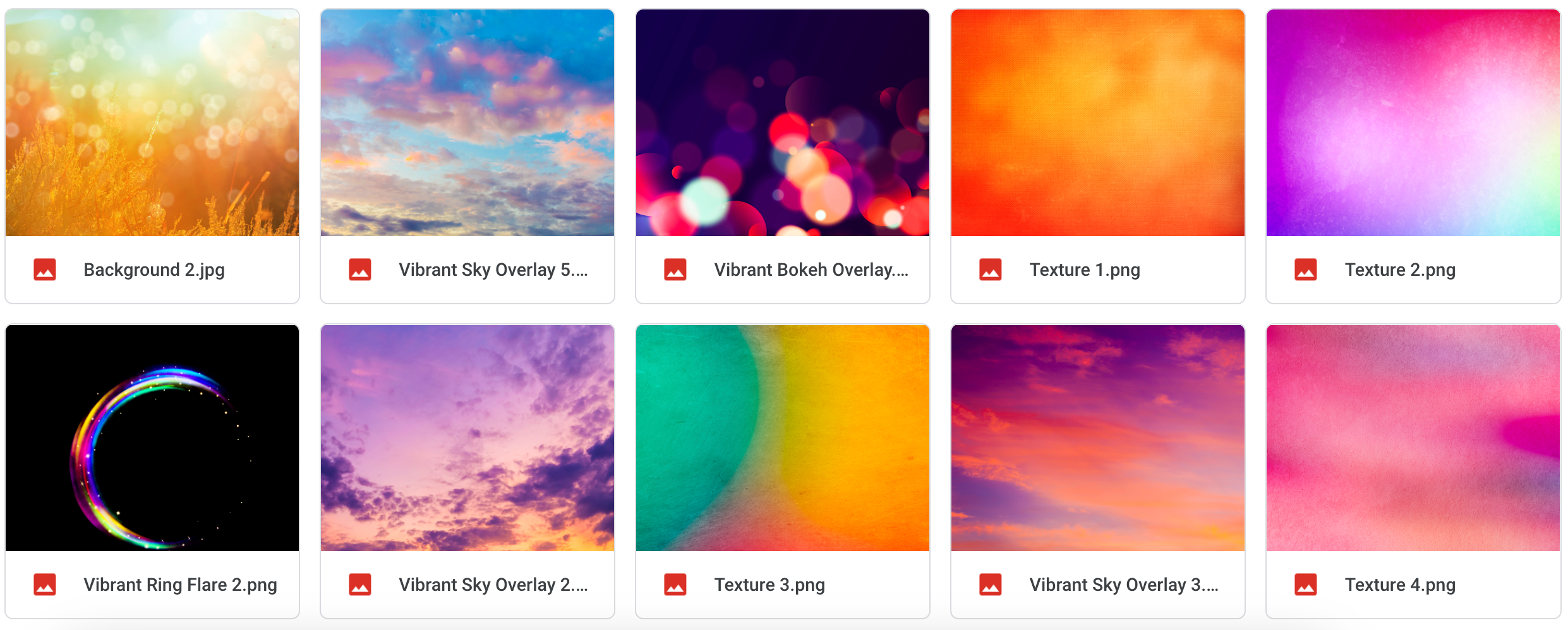 The Vibrant Bundle - Meg Bitton Productions