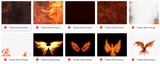 The Phoenix Rising Bundle - Meg Bitton Productions