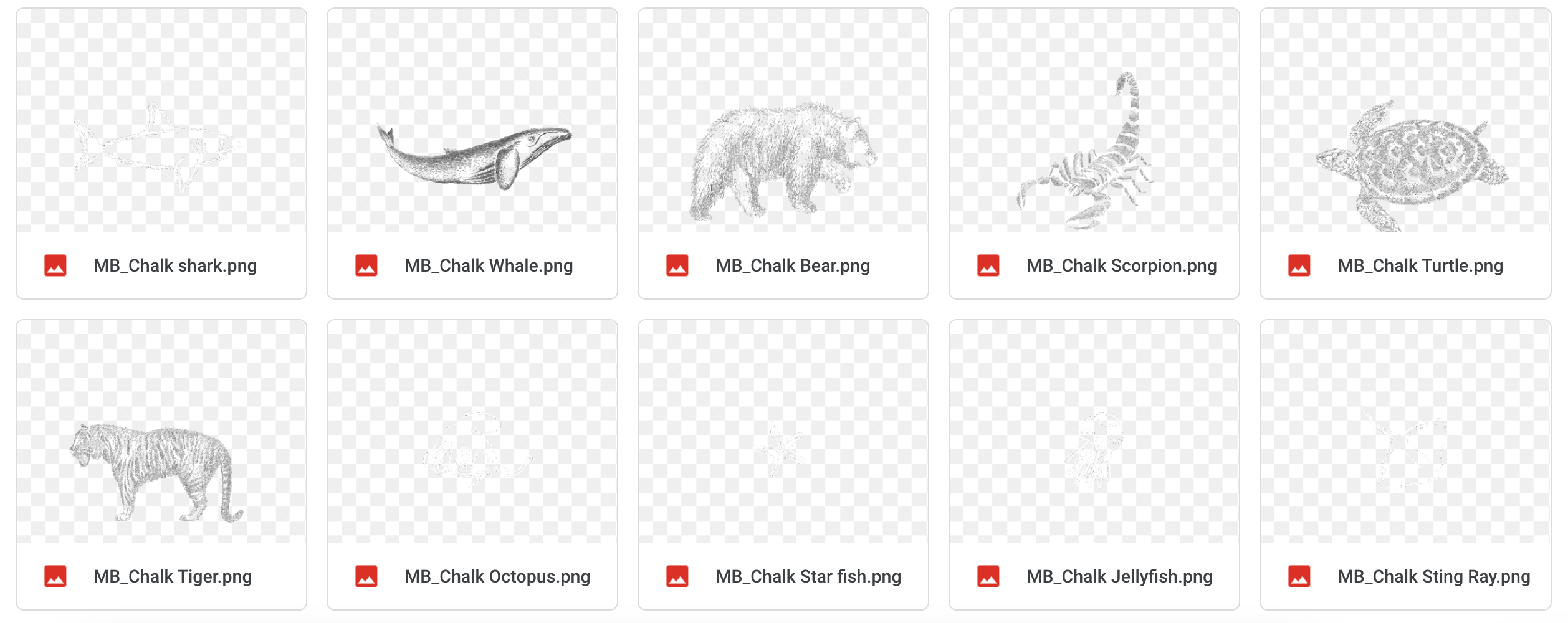 The Chalk Bundle - Meg Bitton Productions