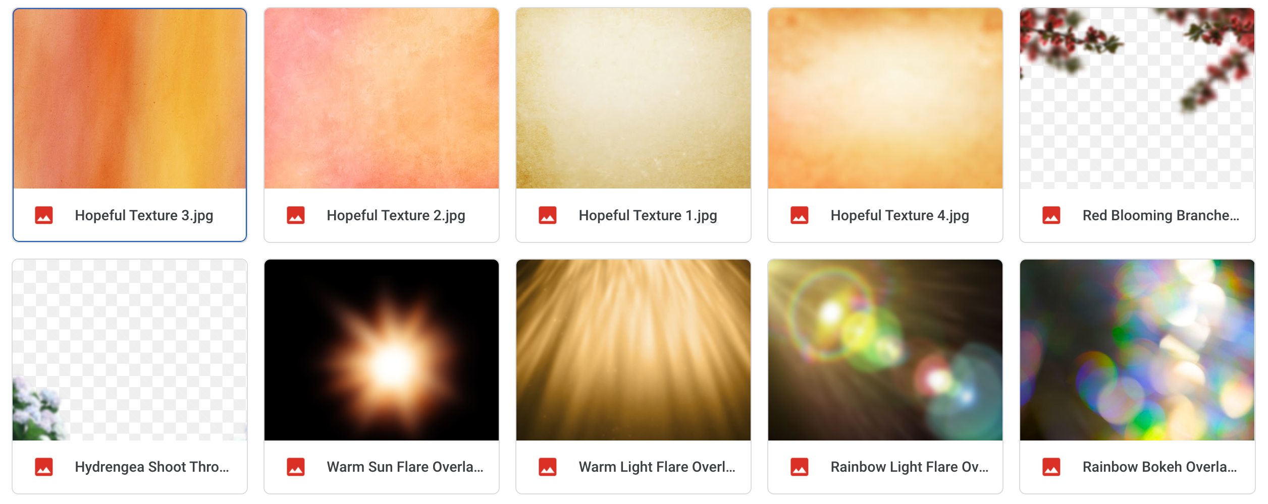 The Hopeful Bundle - Meg Bitton Productions