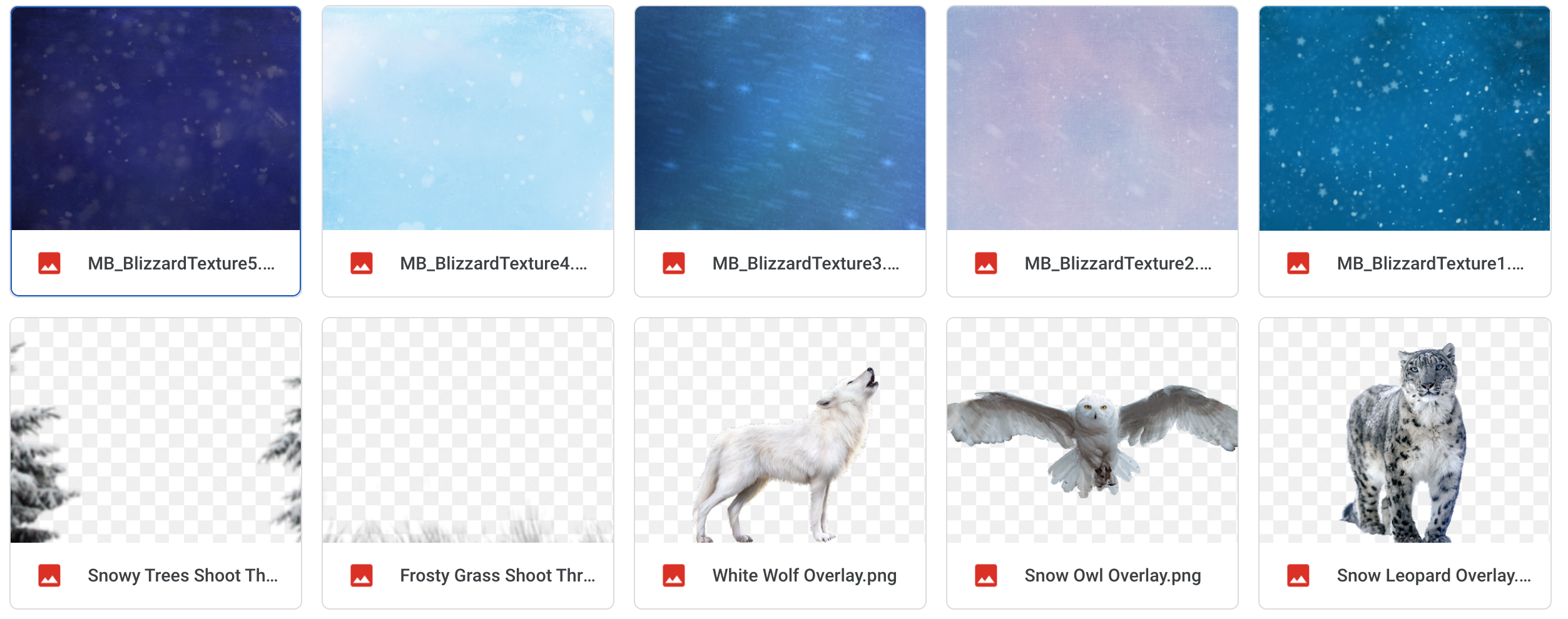 The Blizzard Bundle - Meg Bitton Productions