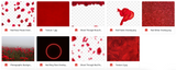The Red Bundle - Meg Bitton Productions