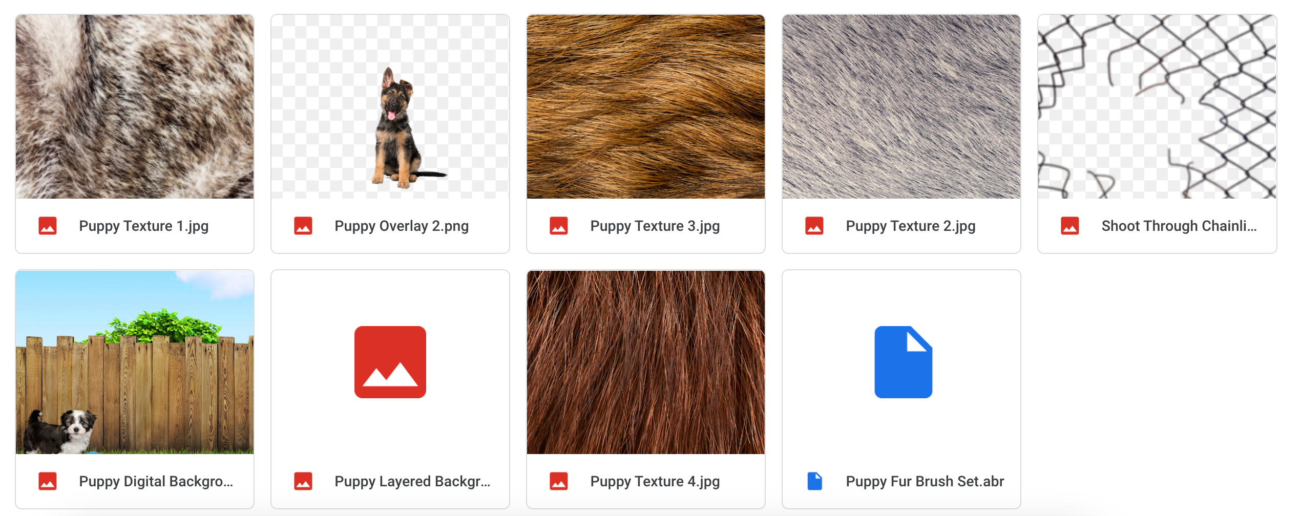 The Puppy Bundle - Meg Bitton Productions