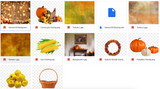 The Harvest Kit - Meg Bitton Productions