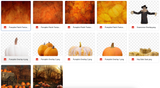 The Pumpkin Patch Kit - Meg Bitton Productions