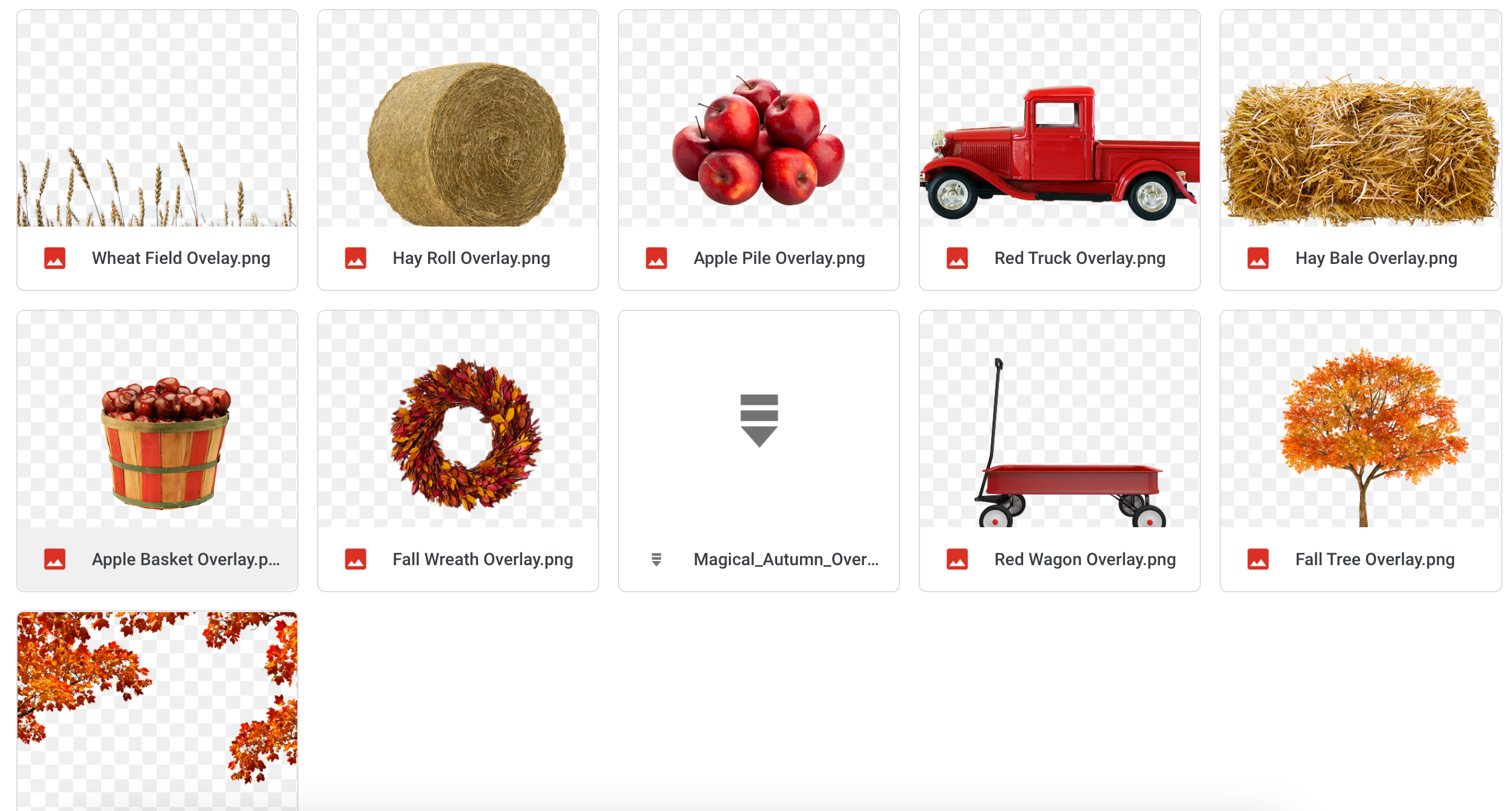 Magical Autumn Overlays - Meg Bitton Productions