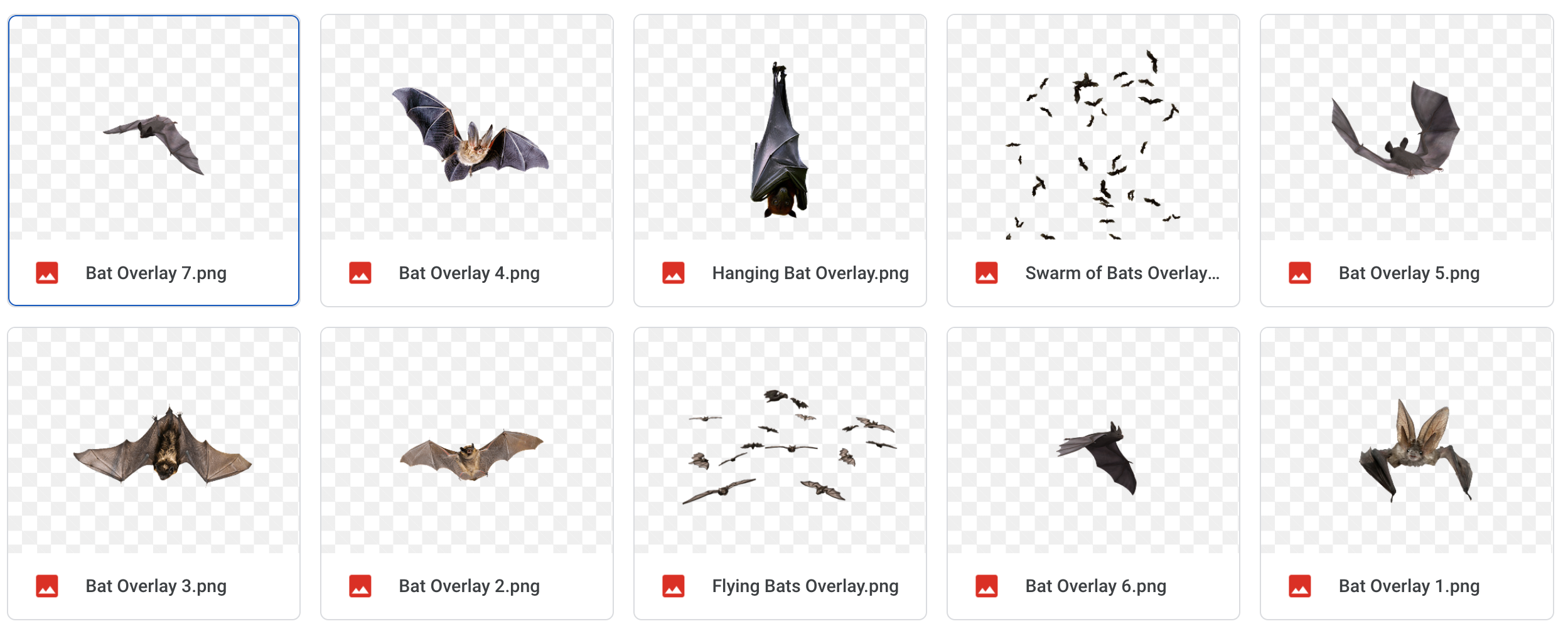 Magical Bats - Meg Bitton Productions