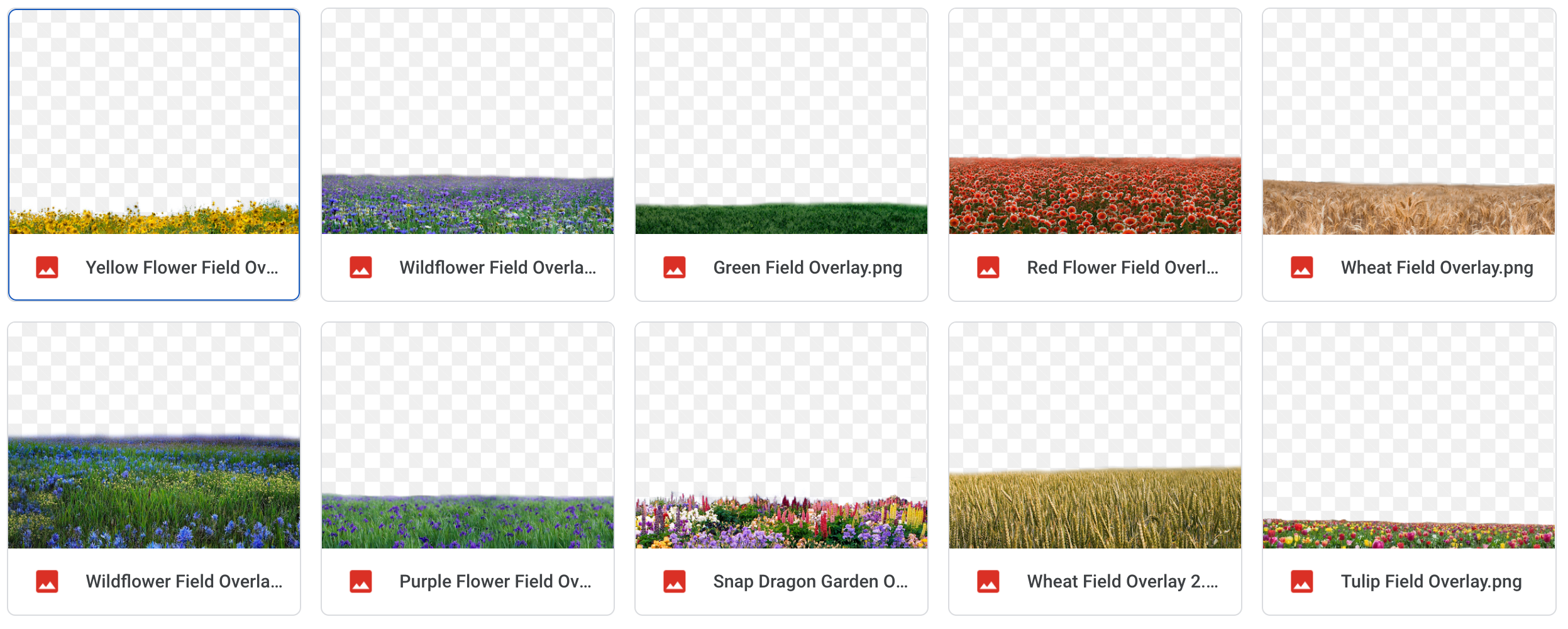 Magical Flower Fields - Meg Bitton Productions