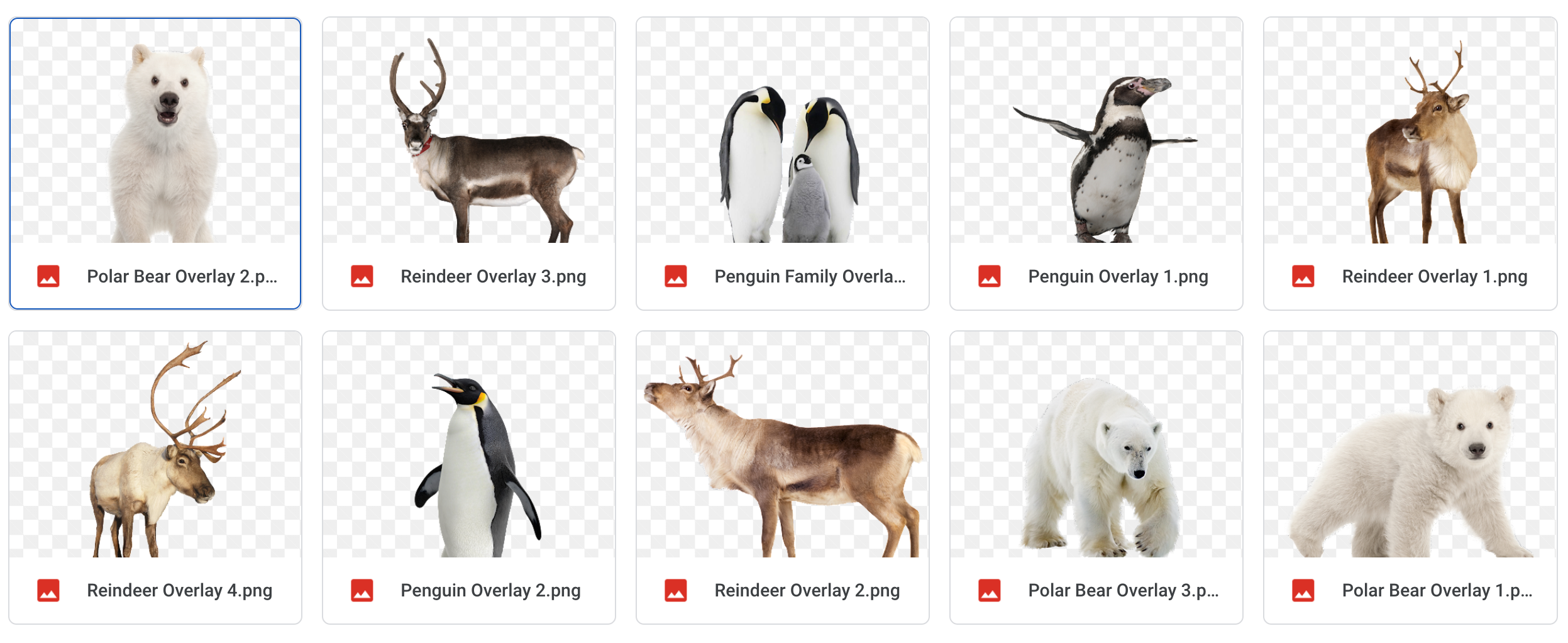 Magical Snowy Animals - Meg Bitton Productions