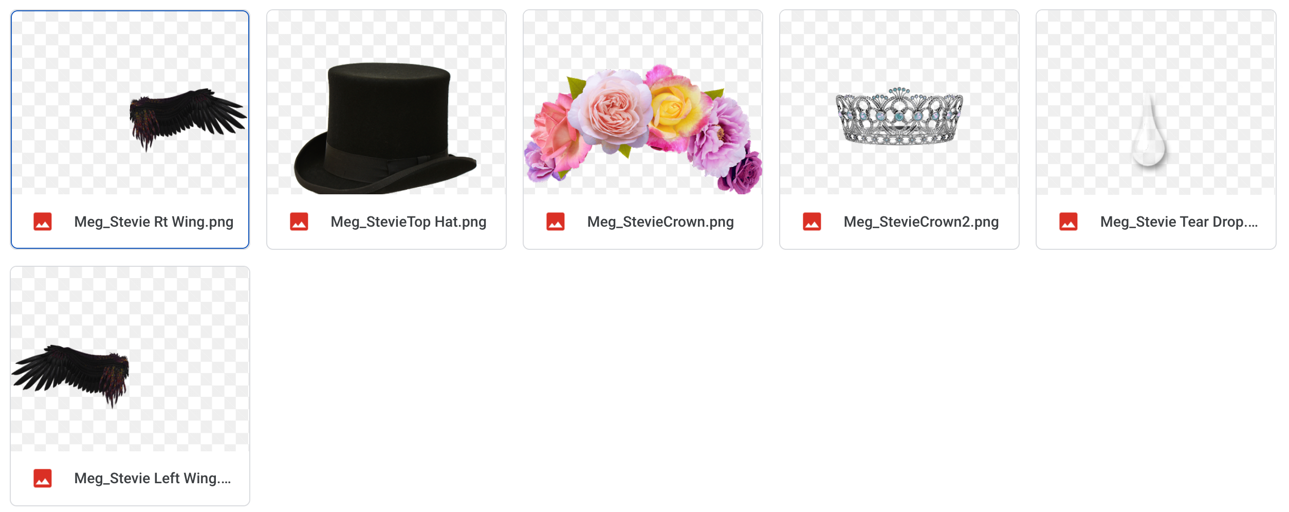 Magical Stevie Overlays - Meg Bitton Productions