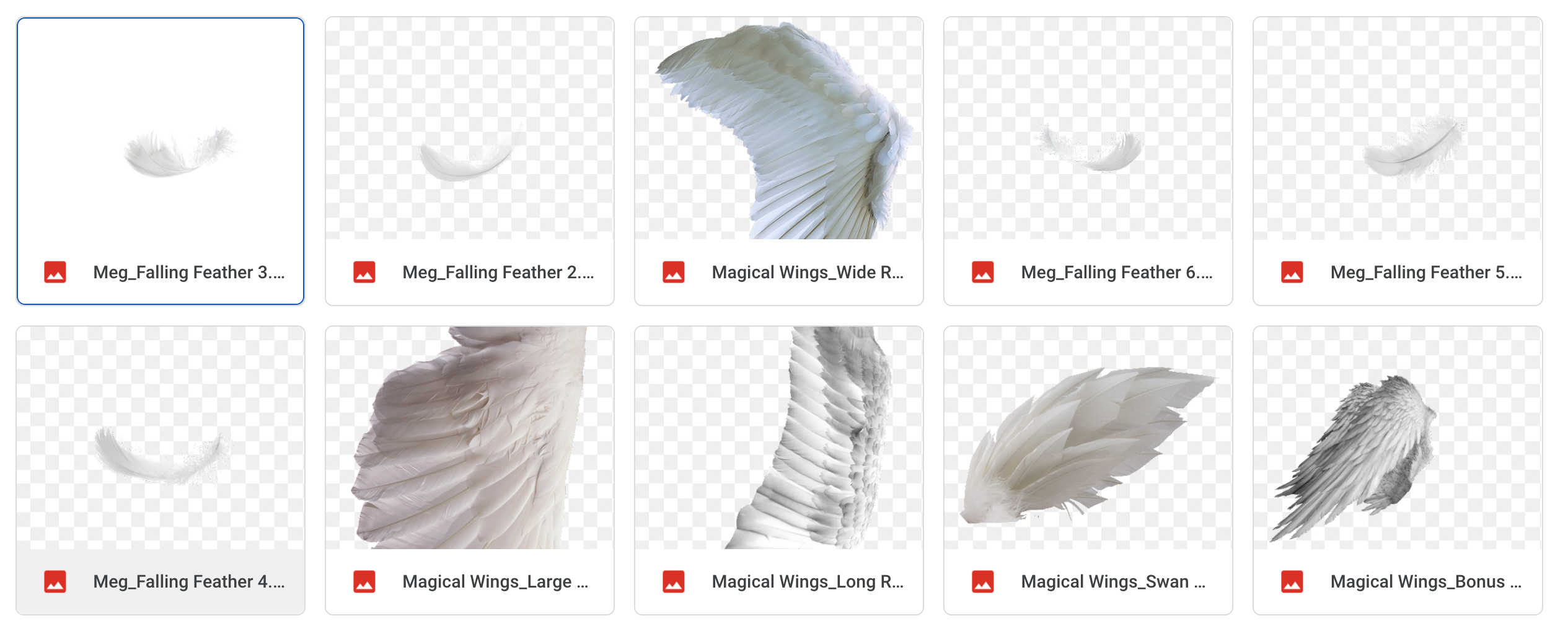 Magical Wings - Meg Bitton Productions
