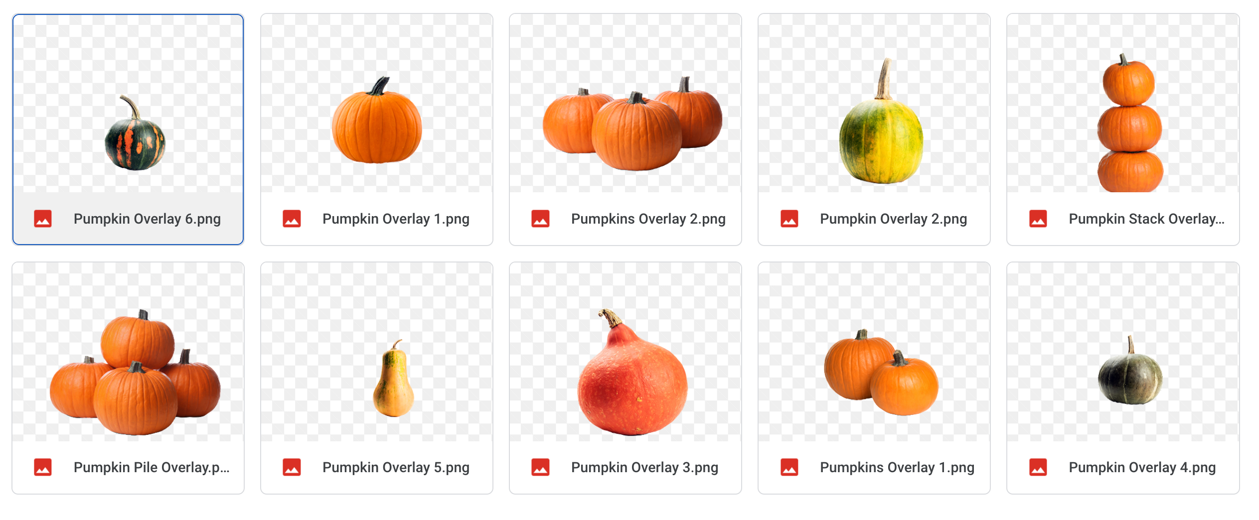 Magical Autumn Pumpkins - Meg Bitton Productions