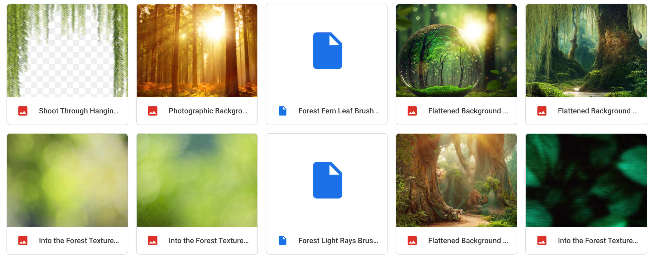 The Into the Forest Bundle - Meg Bitton Productions