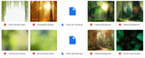 The Into the Forest Bundle - Meg Bitton Productions