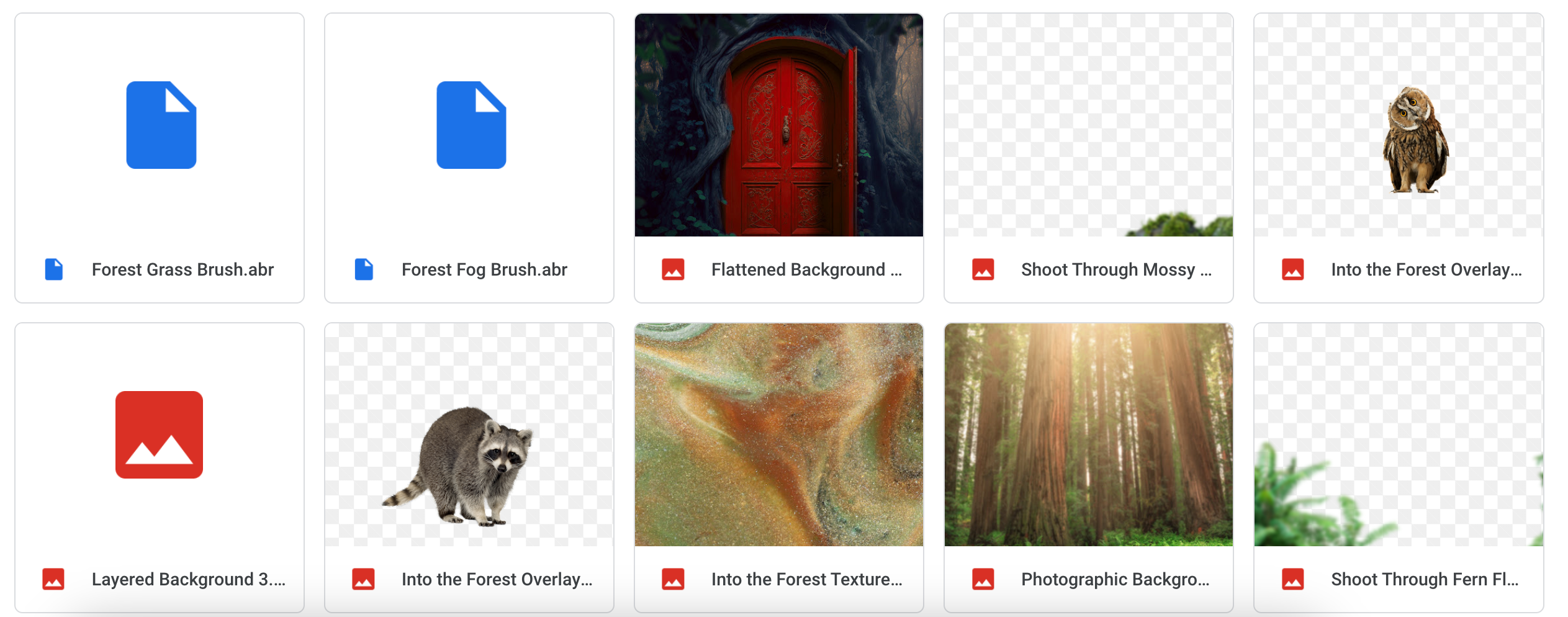 The Into the Forest Bundle - Meg Bitton Productions