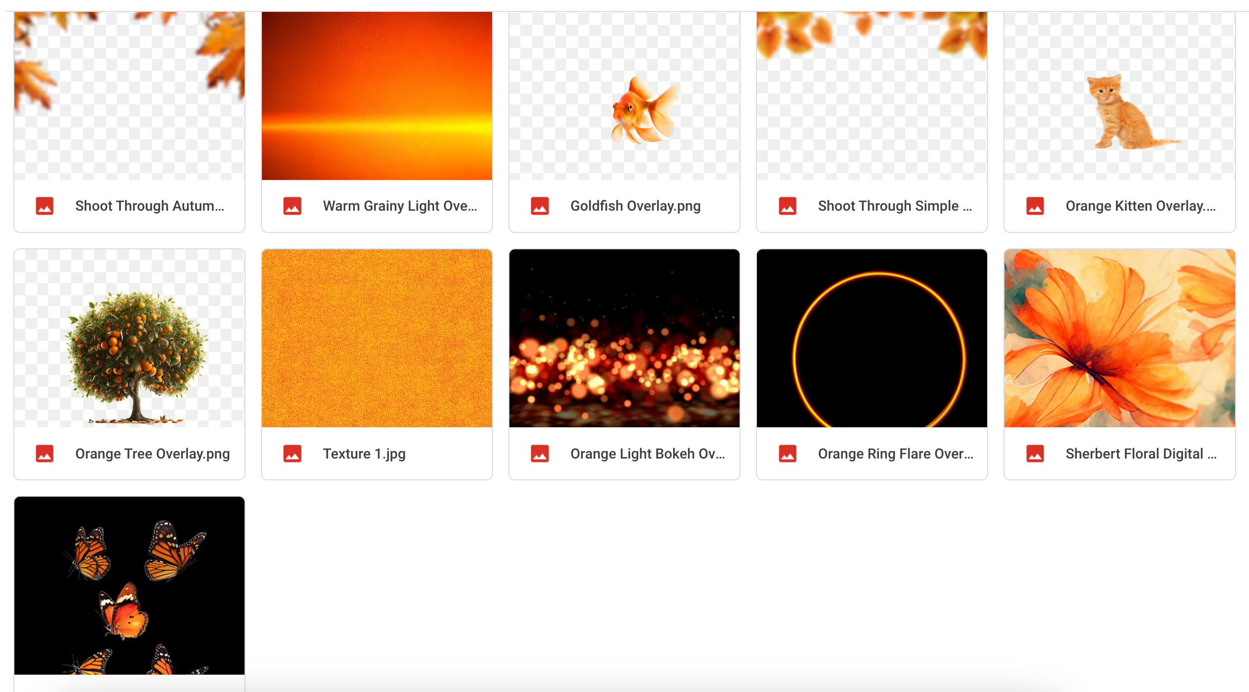 Orange Color Toolkit - Meg Bitton Productions