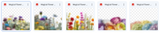 The Most Beautiful Rainbow Bundle Ever - Meg Bitton Productions