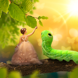 The Small Wonders Kit - Meg Bitton Productions