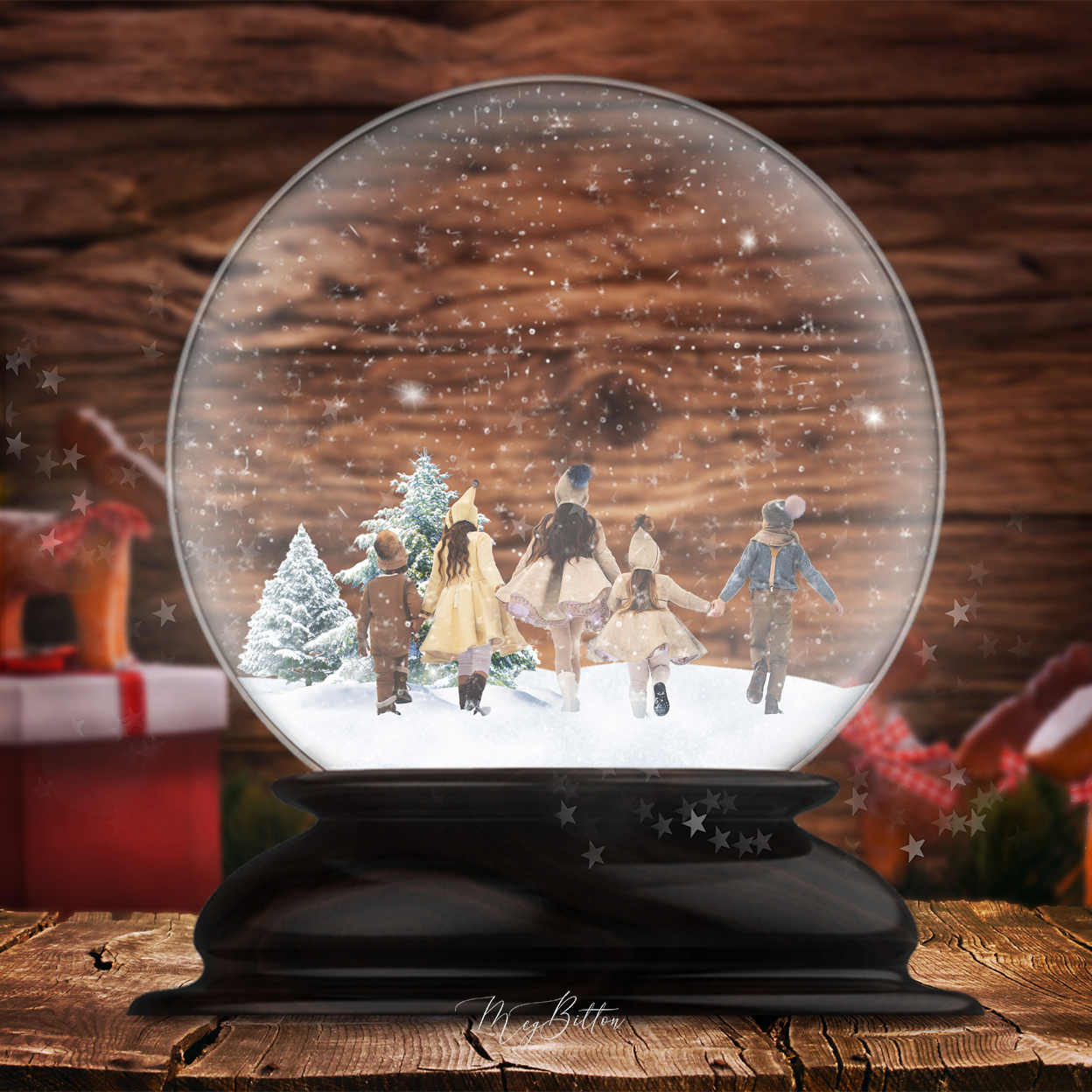 Snow Globe Kit - Meg Bitton Productions