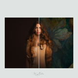 Magical Fine Art Floral Textures - Meg Bitton Productions