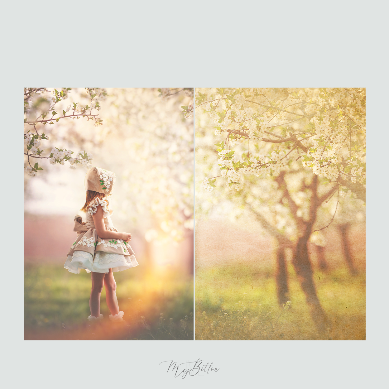 Magical Vintage Paper Textures - Meg Bitton Productions