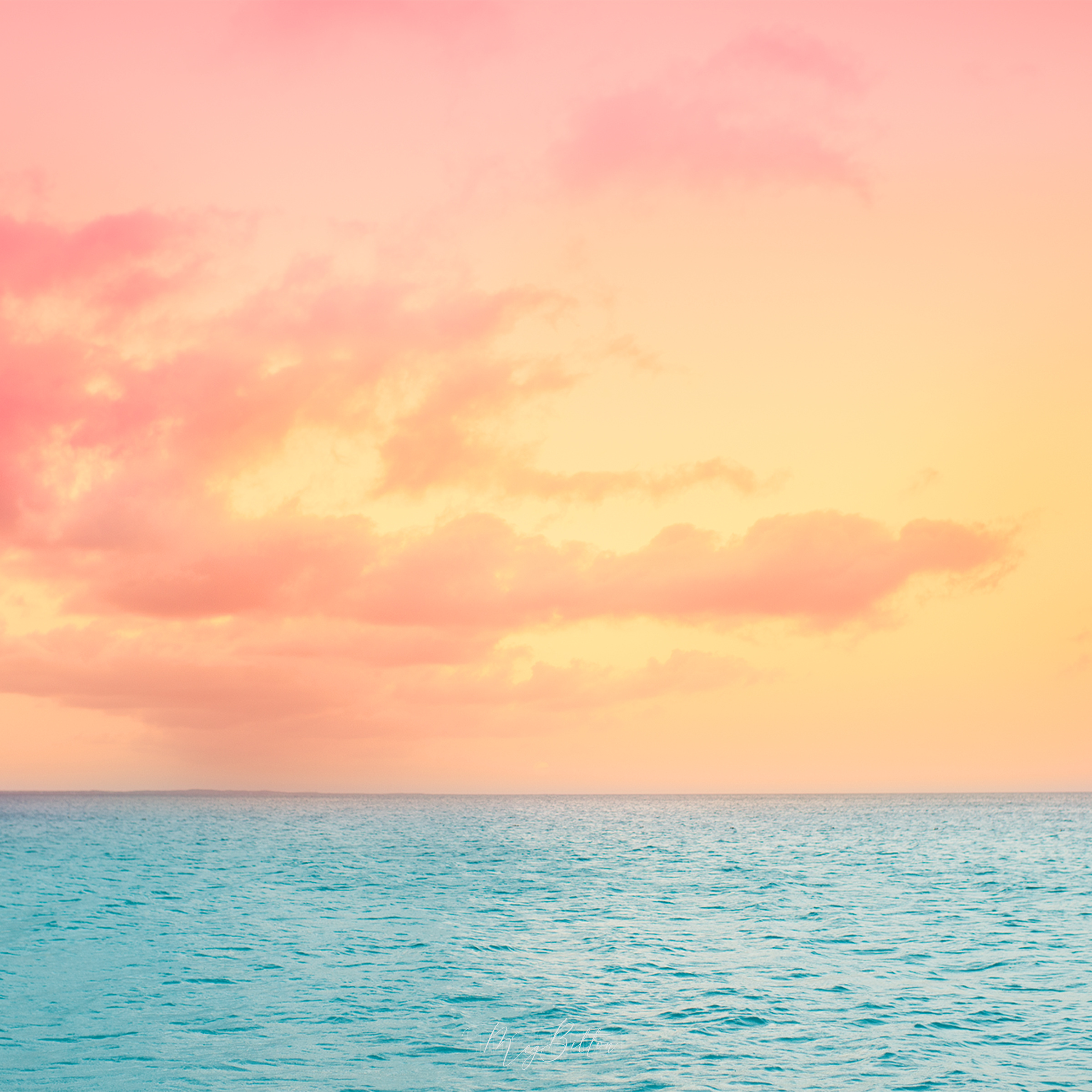 The Caribbean Bundle - Meg Bitton Productions