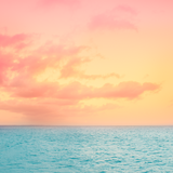 The Caribbean Bundle - Meg Bitton Productions